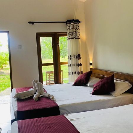 River Paradise Safari House With Cooking Class 우다왈라웨 외부 사진