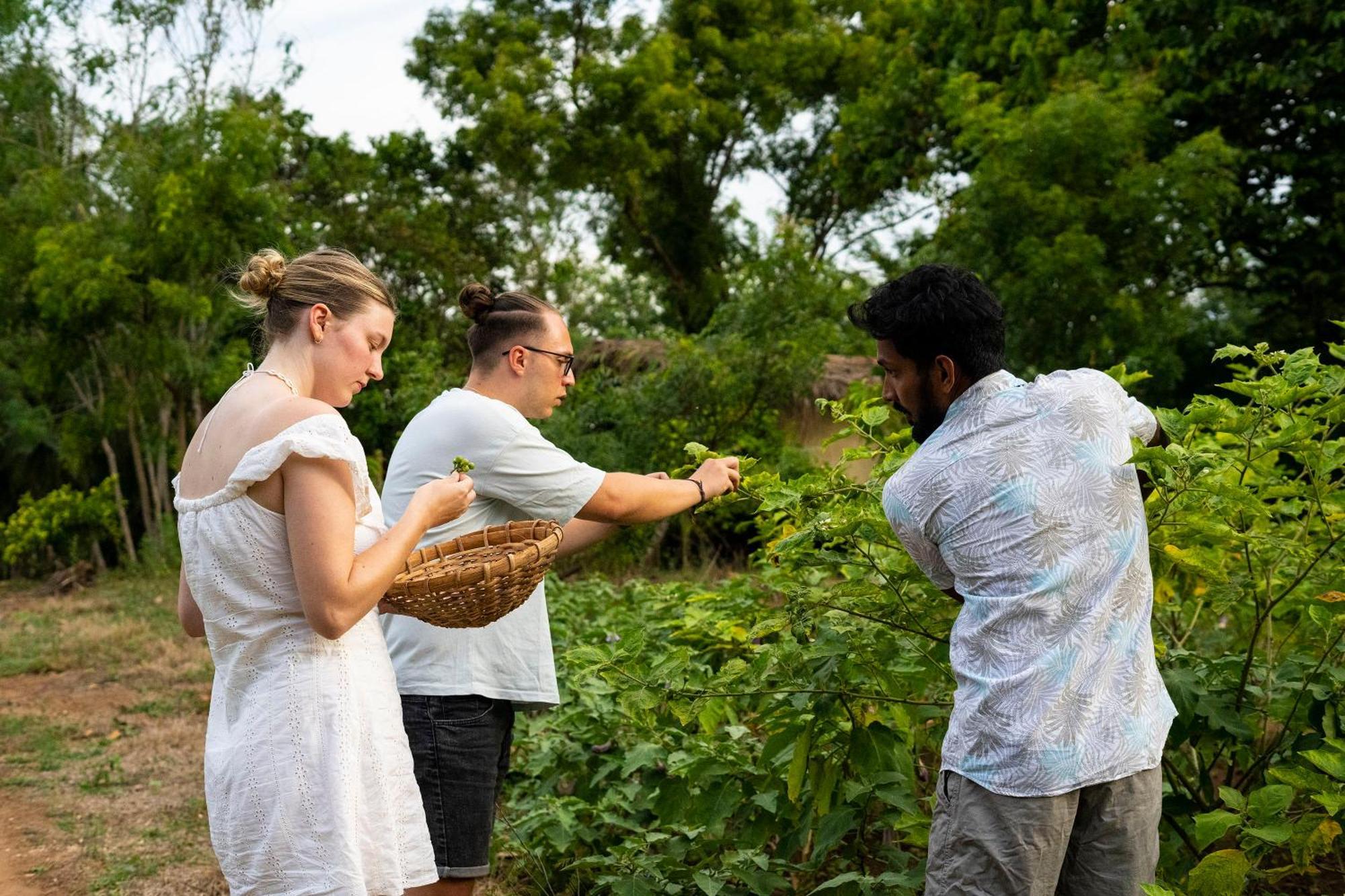 River Paradise Safari House With Cooking Class 우다왈라웨 외부 사진