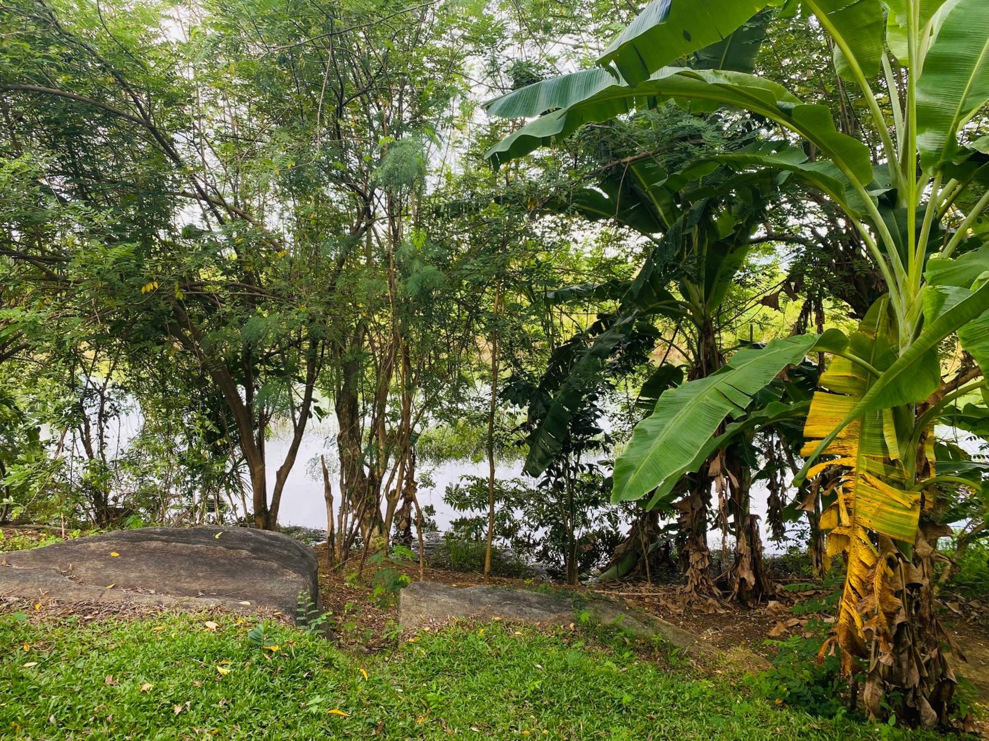 River Paradise Safari House With Cooking Class 우다왈라웨 외부 사진