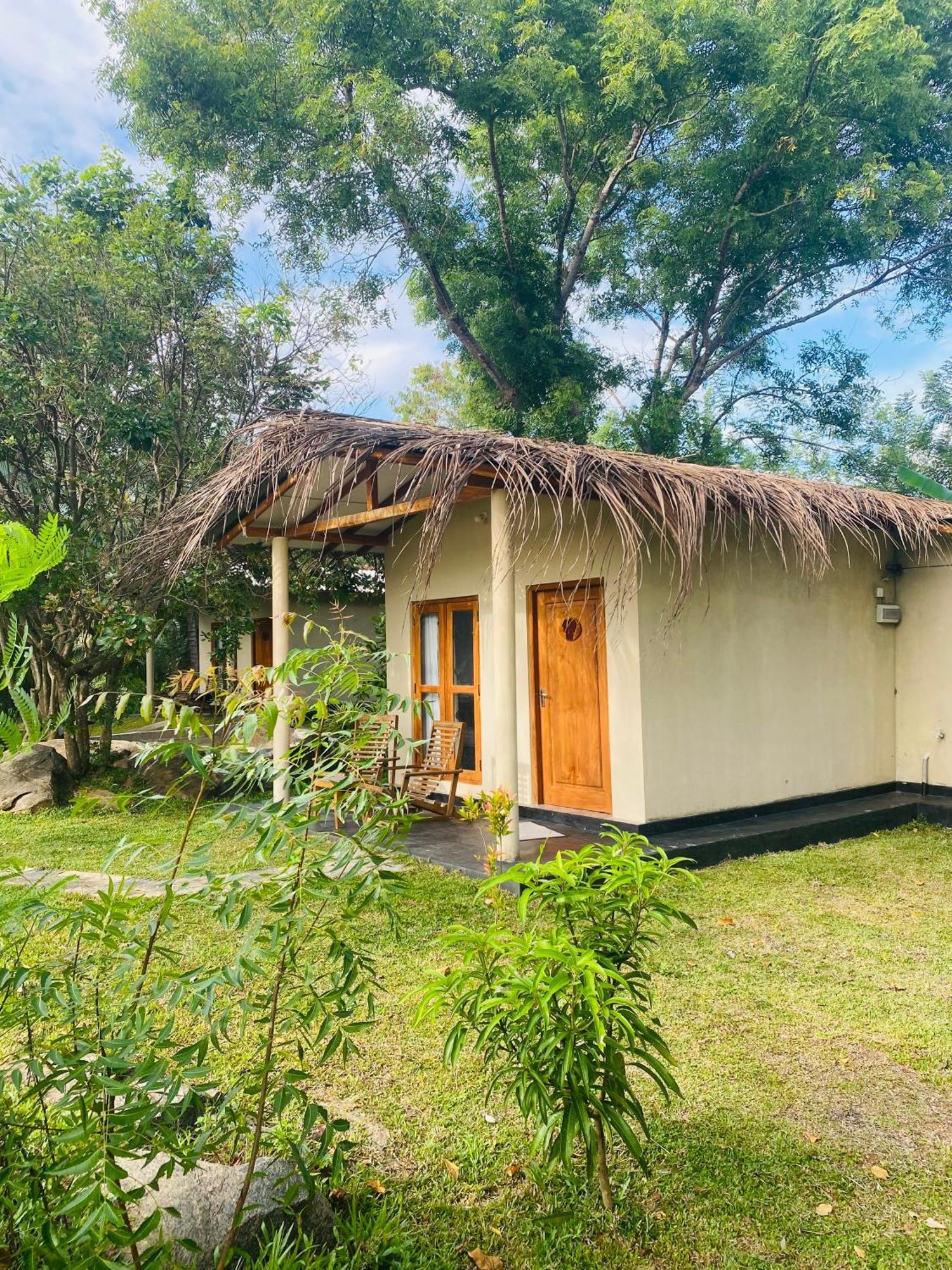 River Paradise Safari House With Cooking Class 우다왈라웨 외부 사진