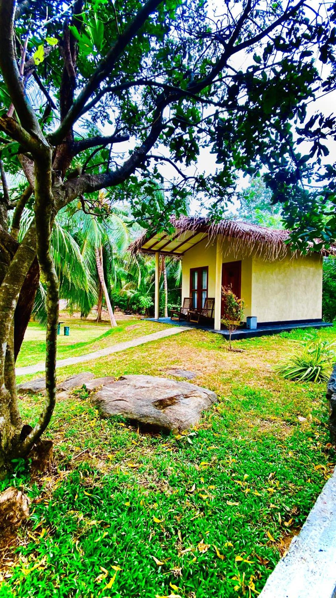 River Paradise Safari House With Cooking Class 우다왈라웨 외부 사진